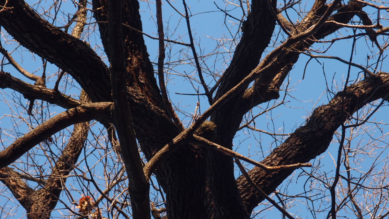 2020-12-26 Kühlgeträt (On/Off) (Remix John Cage - Empty Words IV)